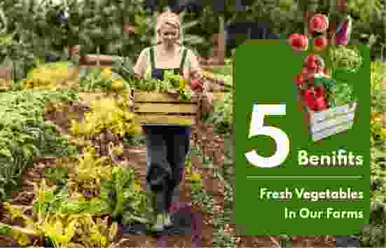 sribalajibhavanievents.com