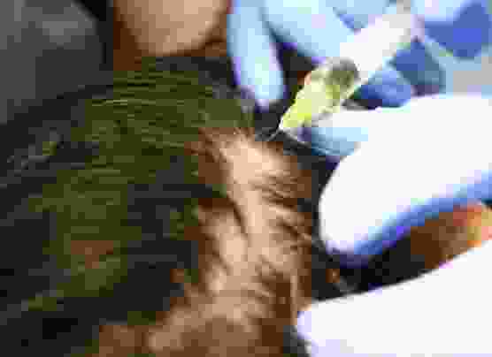 sribalajibhavanievents.com