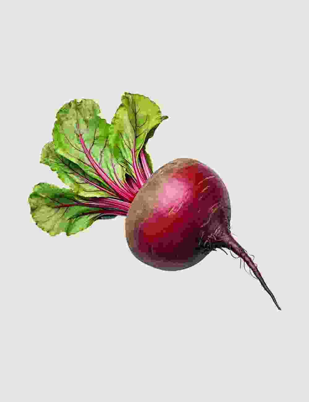 Suggest Product Thumbnail